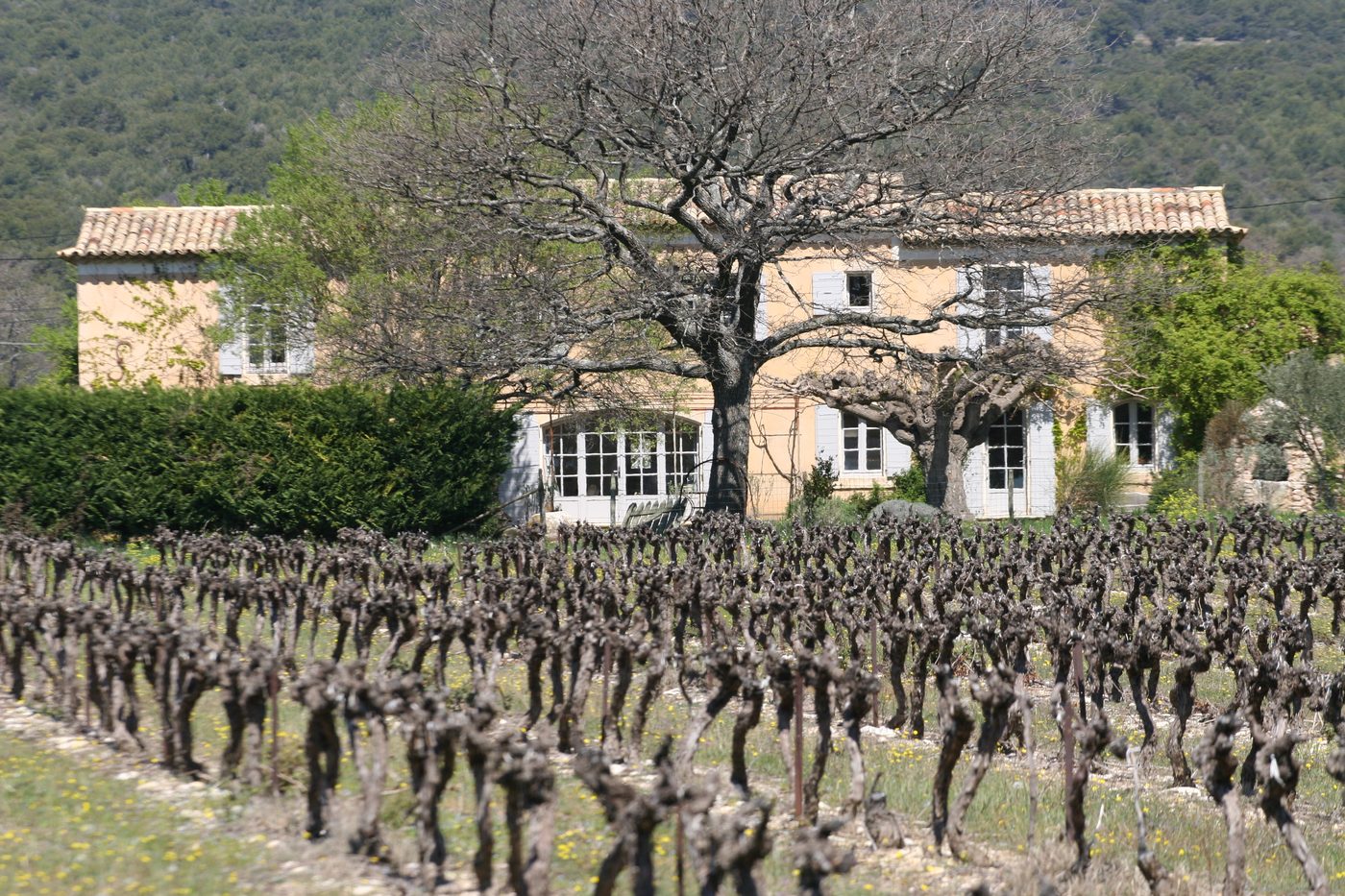 nettoyage façade mas Provence — après nettoyage